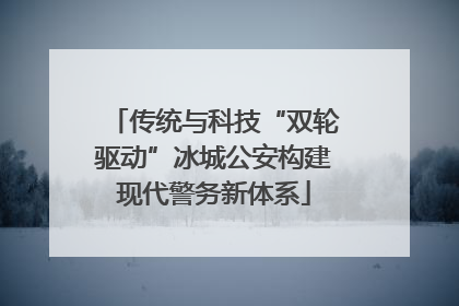 传统与科技“双轮驱动”冰城公安构建现代警务新体系
