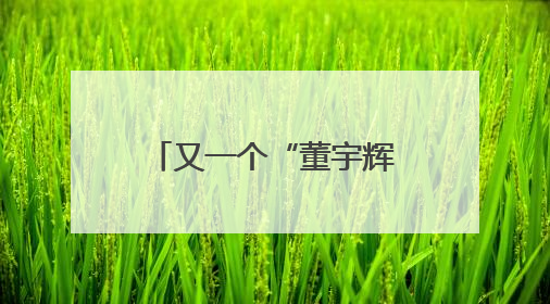 又一个“董宇辉出走”？顿顿离职东方甄选背后：“去头部化”战略再遭考验