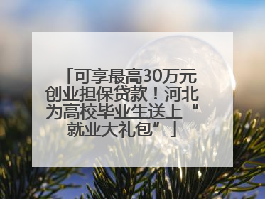 可享最高30万元创业担保贷款！河北为高校毕业生送上“就业大礼包”