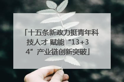 十五条新政力挺青年科技人才 赋能“13+34”产业链创新突破