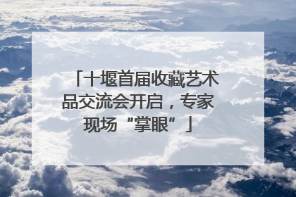 十堰首届收藏艺术品交流会开启，专家现场“掌眼”