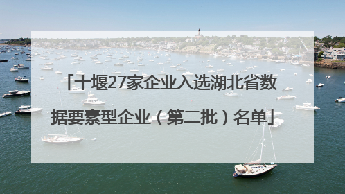 十堰27家企业入选湖北省数据要素型企业（第二批）名单