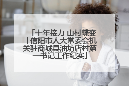 十年接力 山村蝶变│信阳市人大常委会机关驻商城县油坊店村第一书记工作纪实