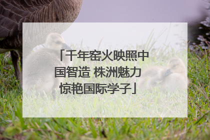 千年窑火映照中国智造 株洲魅力惊艳国际学子