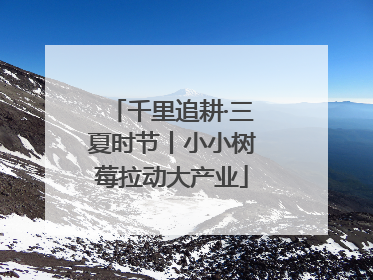 千里追耕·三夏时节丨小小树莓拉动大产业