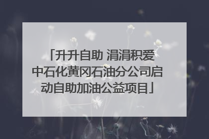 升升自助 涓涓积爱 中石化黄冈石油分公司启动自助加油公益项目