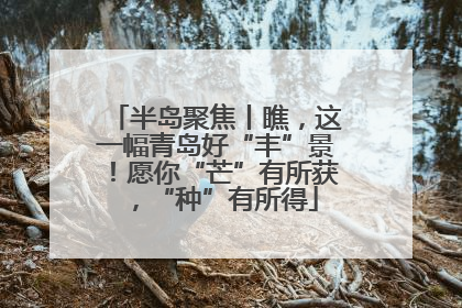半岛聚焦丨瞧，这一幅青岛好“丰”景！愿你“芒”有所获，“种”有所得