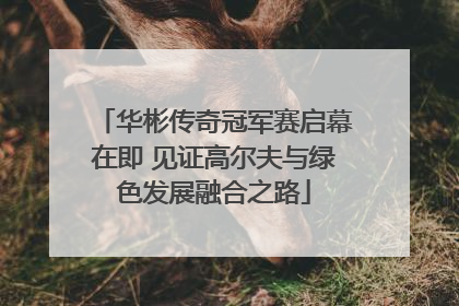 华彬传奇冠军赛启幕在即 见证高尔夫与绿色发展融合之路