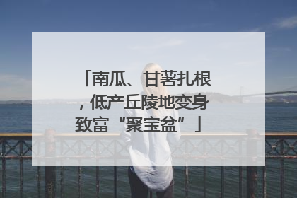 南瓜、甘薯扎根，低产丘陵地变身致富“聚宝盆”