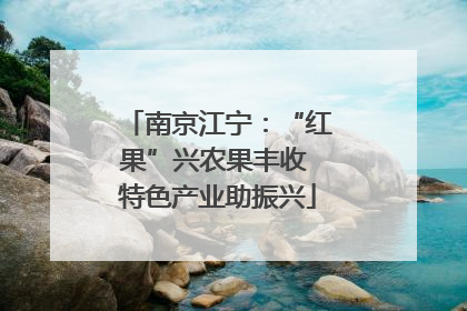 南京江宁：“红果”兴农果丰收 特色产业助振兴