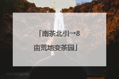 南茶北引→8亩荒地变茶园