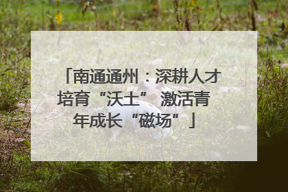 南通通州：深耕人才培育“沃土” 激活青年成长“磁场”