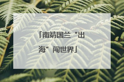 南靖国兰“出海”闯世界