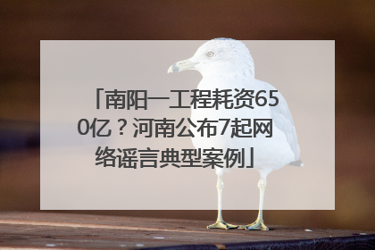 南阳一工程耗资650亿？河南公布7起网络谣言典型案例