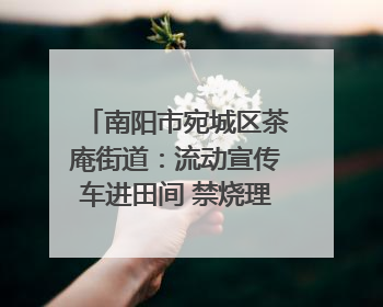 南阳市宛城区茶庵街道：流动宣传车进田间 禁烧理念入人心