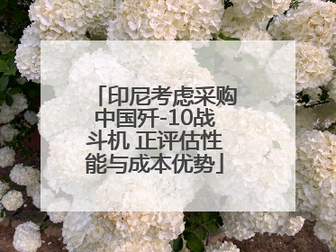 印尼考虑采购中国歼-10战斗机 正评估性能与成本优势