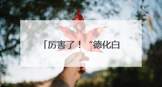 厉害了！“德化白瓷”正式成为米其林指南官方合作伙伴