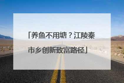 养鱼不用塘？江陵秦市乡创新致富路径