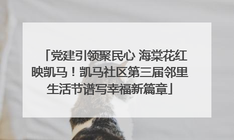 党建引领聚民心 海棠花红映凯马！凯马社区第三届邻里生活节谱写幸福新篇章