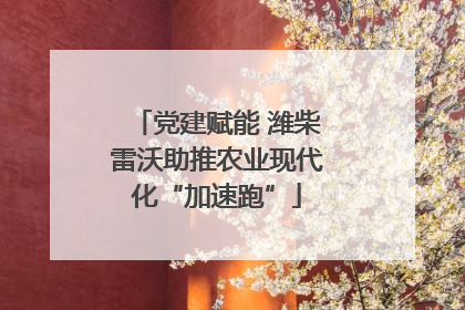 党建赋能 潍柴雷沃助推农业现代化“加速跑”