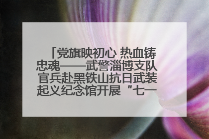 党旗映初心 热血铸忠魂——武警淄博支队官兵赴黑铁山抗日武装起义纪念馆开展“七一”主题党日活动