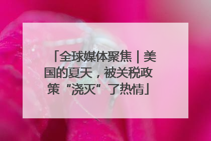 全球媒体聚焦｜美国的夏天，被关税政策“浇灭”了热情