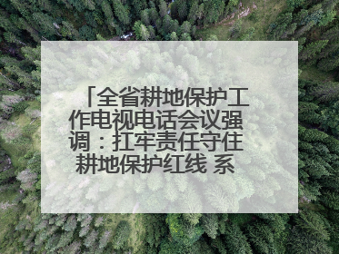 全省耕地保护工作电视电话会议强调：扛牢责任守住耕地保护红线 系统施治夯实粮食安全根基 王宁作出批示 王予波出席并讲话