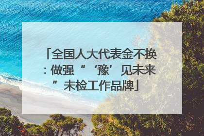 全国人大代表金不换：做强“‘豫’见未来”未检工作品牌