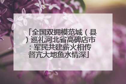 全国双拥模范城（县）巡礼河北省高碑店市：军民共建薪火相传 督亢大地鱼水情深