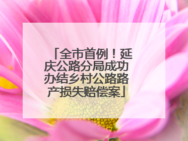 全市首例！延庆公路分局成功办结乡村公路路产损失赔偿案