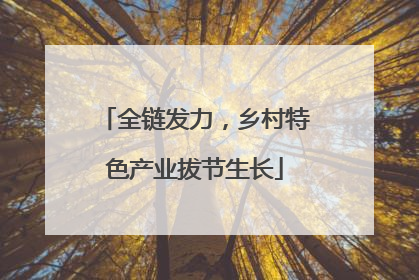 全链发力，乡村特色产业拔节生长