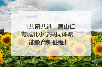 共研共进，眉山仁寿城北小学共同体赋能教育新征程
