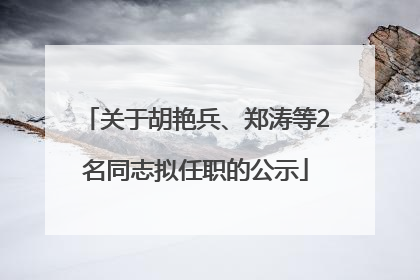 关于胡艳兵、郑涛等2名同志拟任职的公示