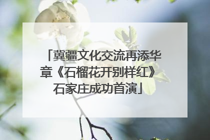 冀疆文化交流再添华章《石榴花开别样红》石家庄成功首演