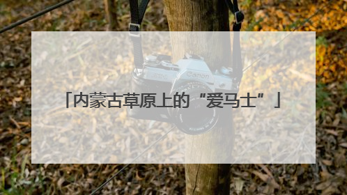 内蒙古草原上的“爱马士”