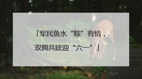 军民鱼水“粽”有情，双拥共建迎“六一”