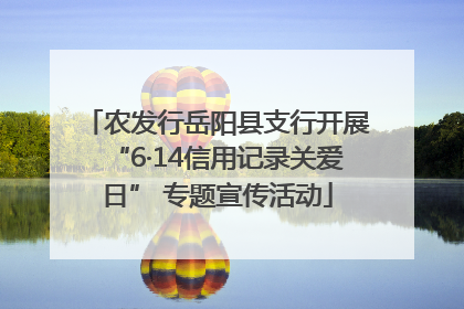 农发行岳阳县支行开展“6·14信用记录关爱日” 专题宣传活动