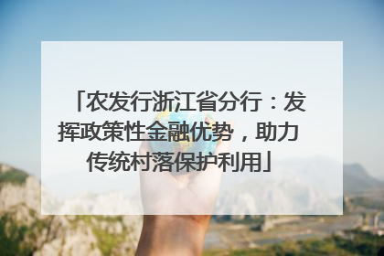 农发行浙江省分行：发挥政策性金融优势，助力传统村落保护利用