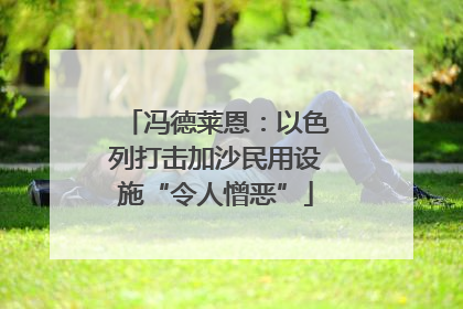 冯德莱恩：以色列打击加沙民用设施“令人憎恶”