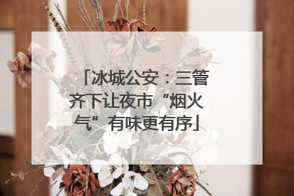 冰城公安：三管齐下让夜市“烟火气”有味更有序