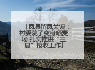 凤县留凤关镇：村委院子变身晒麦场 扎实推进“三夏”抢收工作