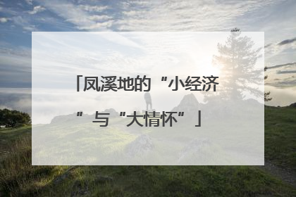 凤溪地的“小经济”与“大情怀”