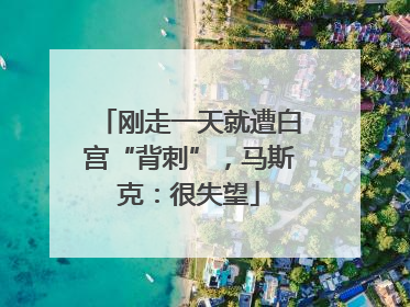刚走一天就遭白宫“背刺”，马斯克：很失望