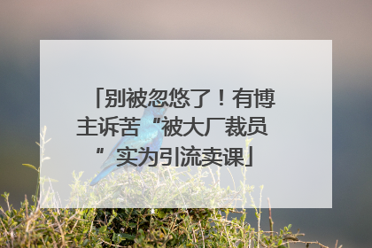 别被忽悠了！有博主诉苦“被大厂裁员”实为引流卖课
