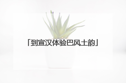 到宣汉体验巴风土韵