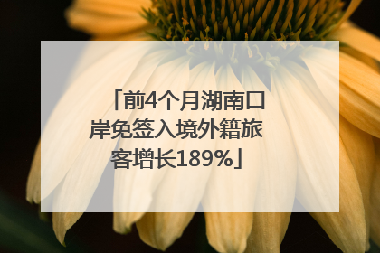 前4个月湖南口岸免签入境外籍旅客增长189%