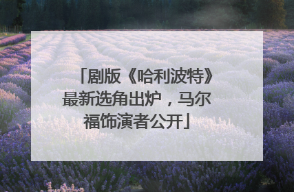 剧版《哈利波特》最新选角出炉，马尔福饰演者公开