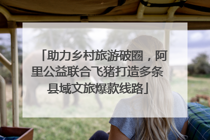 助力乡村旅游破圈，阿里公益联合飞猪打造多条县域文旅爆款线路