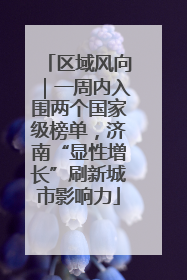 区域风向｜一周内入围两个国家级榜单，济南“显性增长”刷新城市影响力