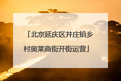 北京延庆区井庄镇乡村奥莱商街开街运营
